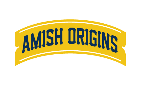 Amish Origins Old Time Chickweed Salve – 2 Oz, All Natural For Poison Ivy, Dry Skin, Burns